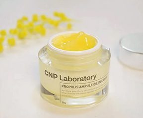 CNP - Propolis Ampule Oil In Cream (50ml)