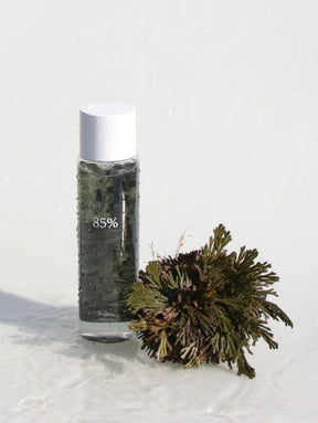 Dr.Althea - Anastatica Skin Conditioning Toner (250ml)