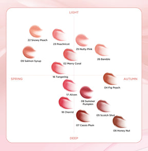 TIRTIR - Waterism Glow Tint (4g)